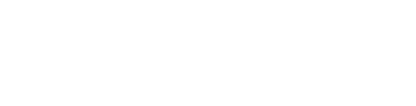 ROX Analytics logo white version